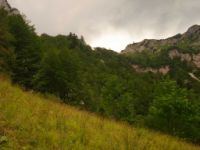 2014-08-02_06FritzPflaum-Steig (416).JPG